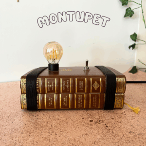 L'Électron Livre