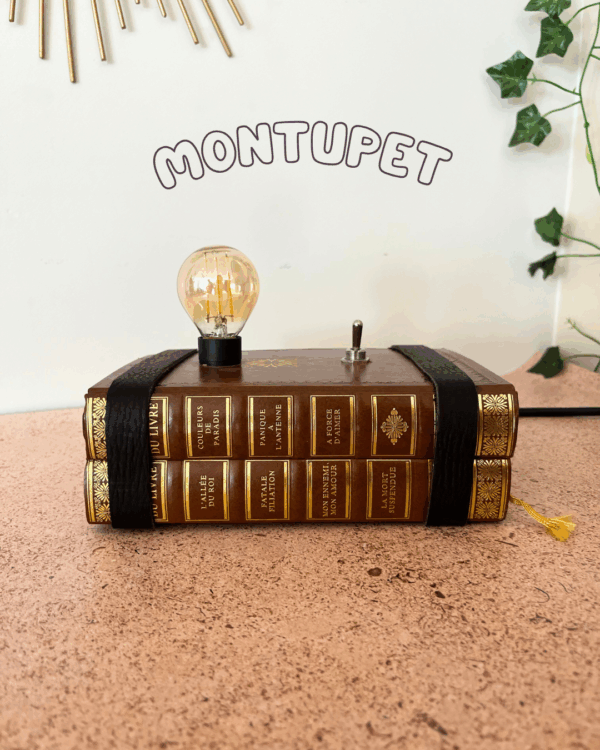 L'Électron Livre