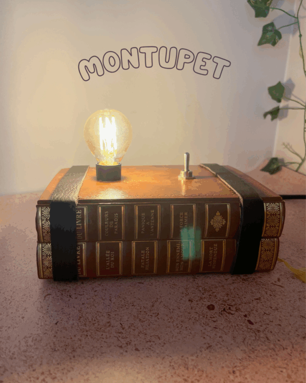 L'Électron Livre – Image 2