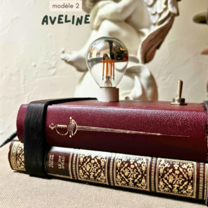 L'Électron Livre