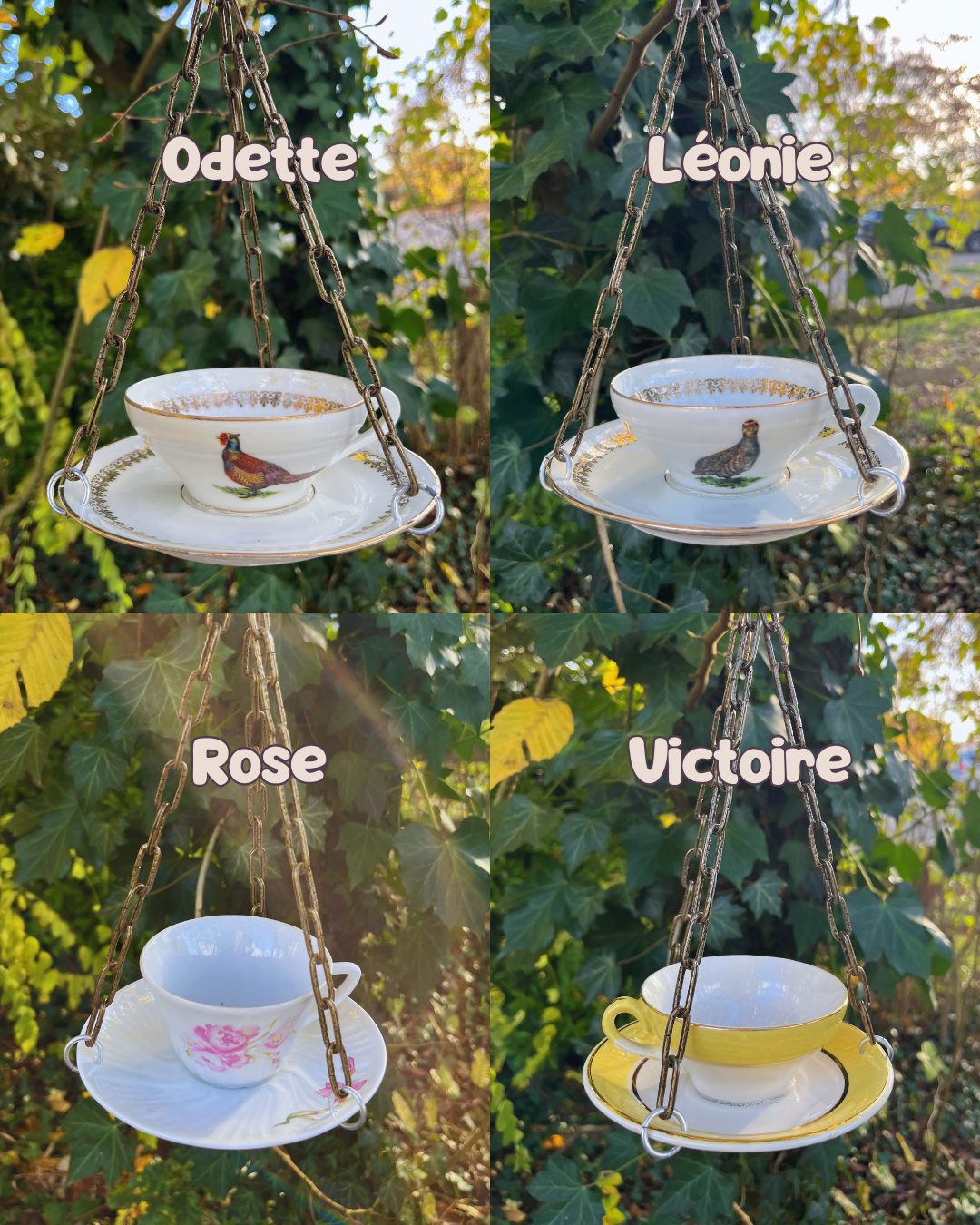 Mangeoire à oiseaux – Image 2