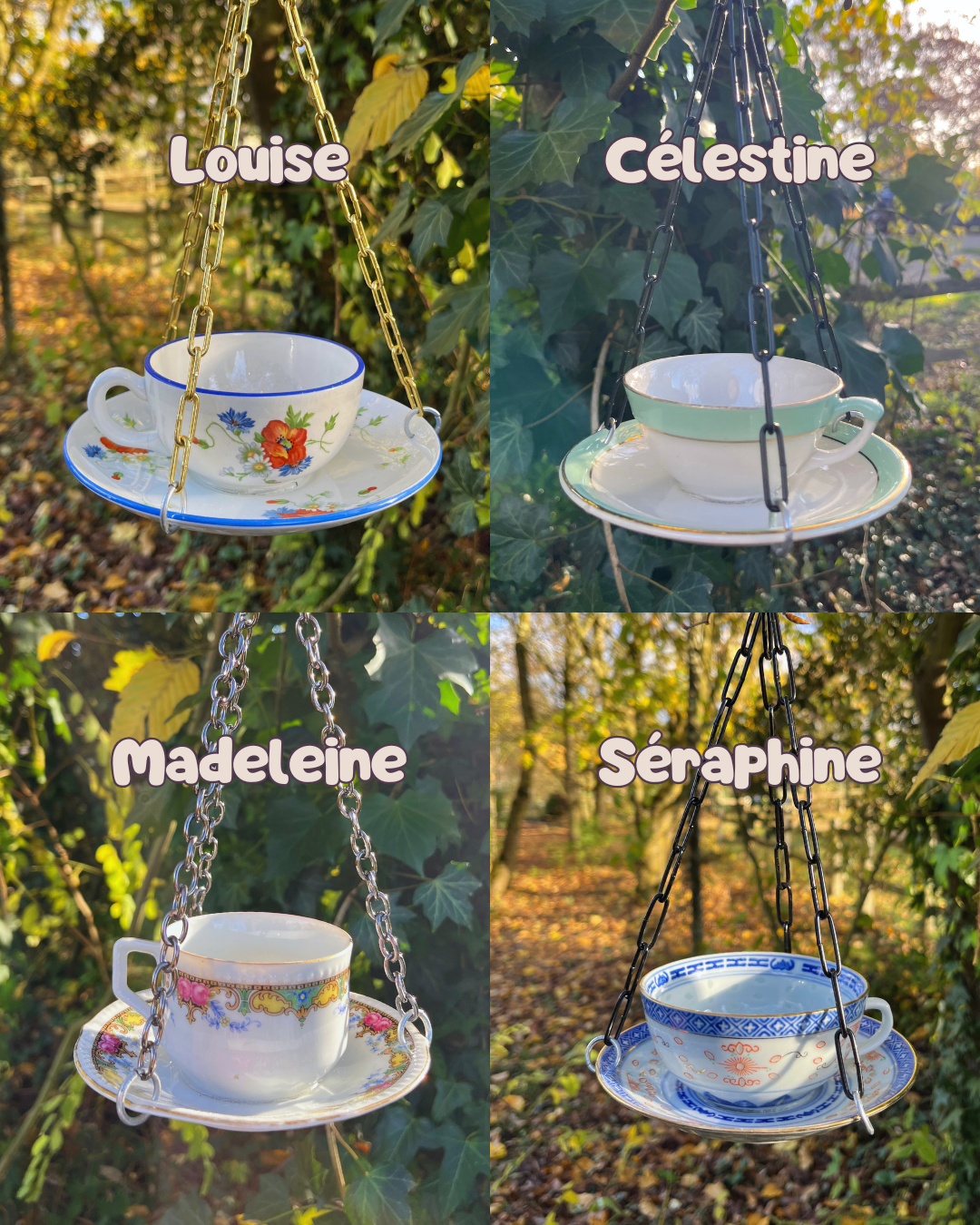 Mangeoire à oiseaux – Image 3