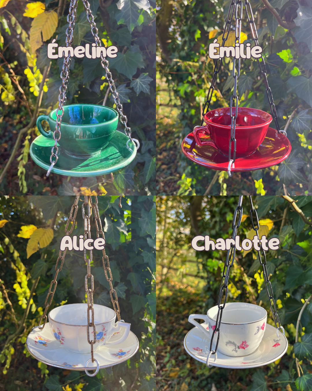 Mangeoire à oiseaux – Image 4