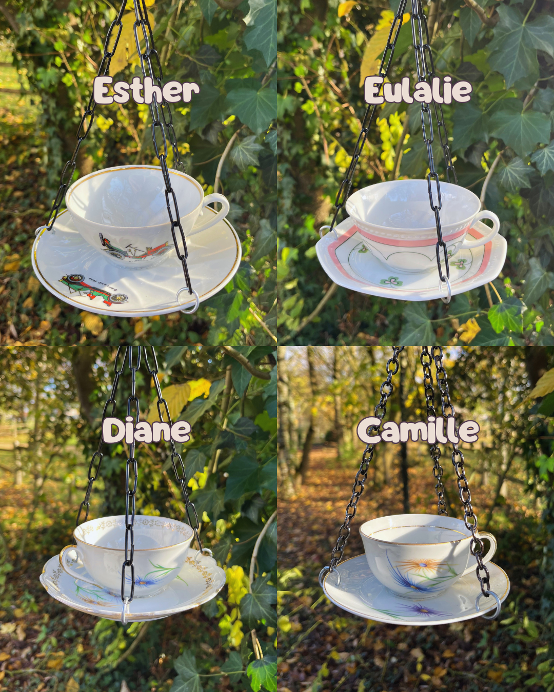 Mangeoire à oiseaux – Image 6