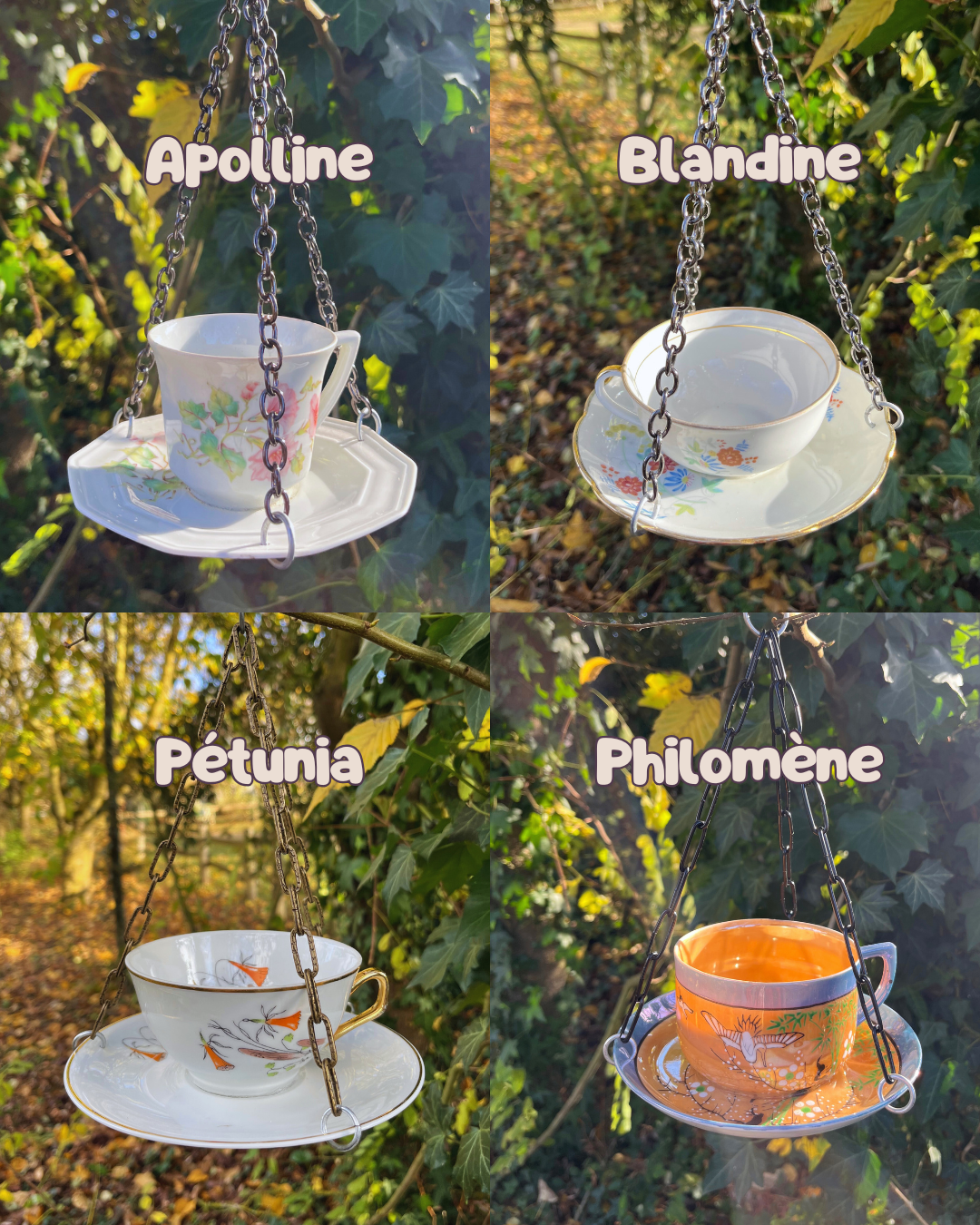 Mangeoire à oiseaux – Image 7