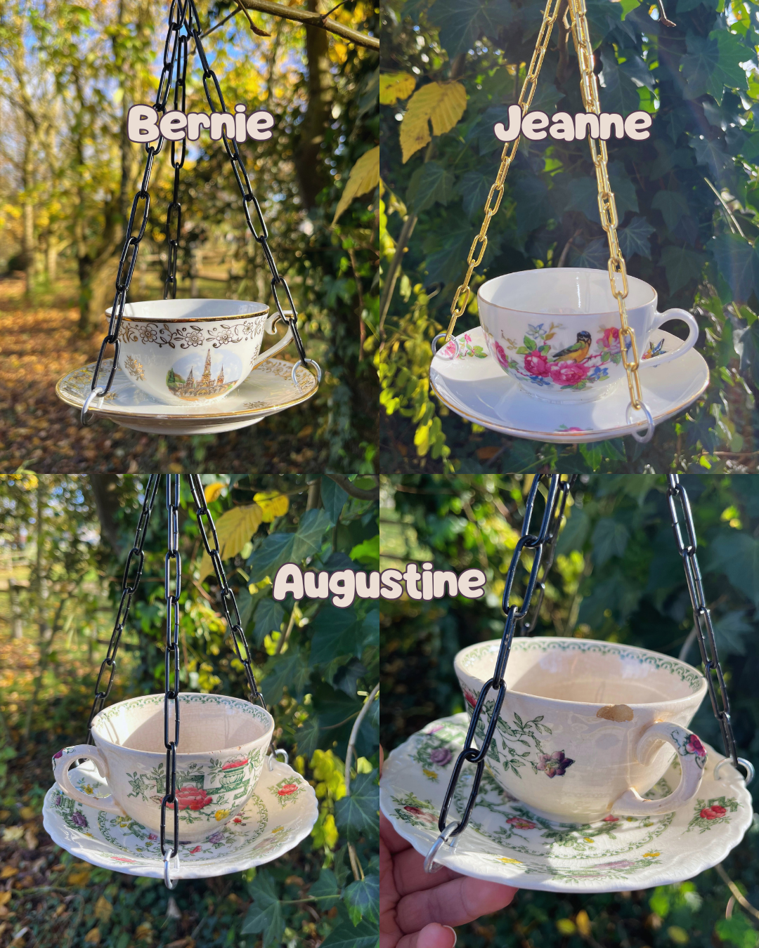 Mangeoire à oiseaux – Image 8