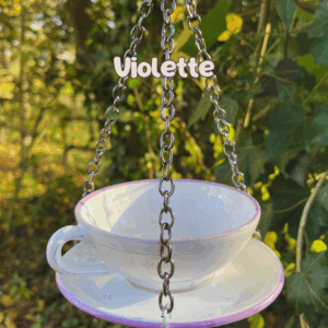 Mangeoire à oiseaux