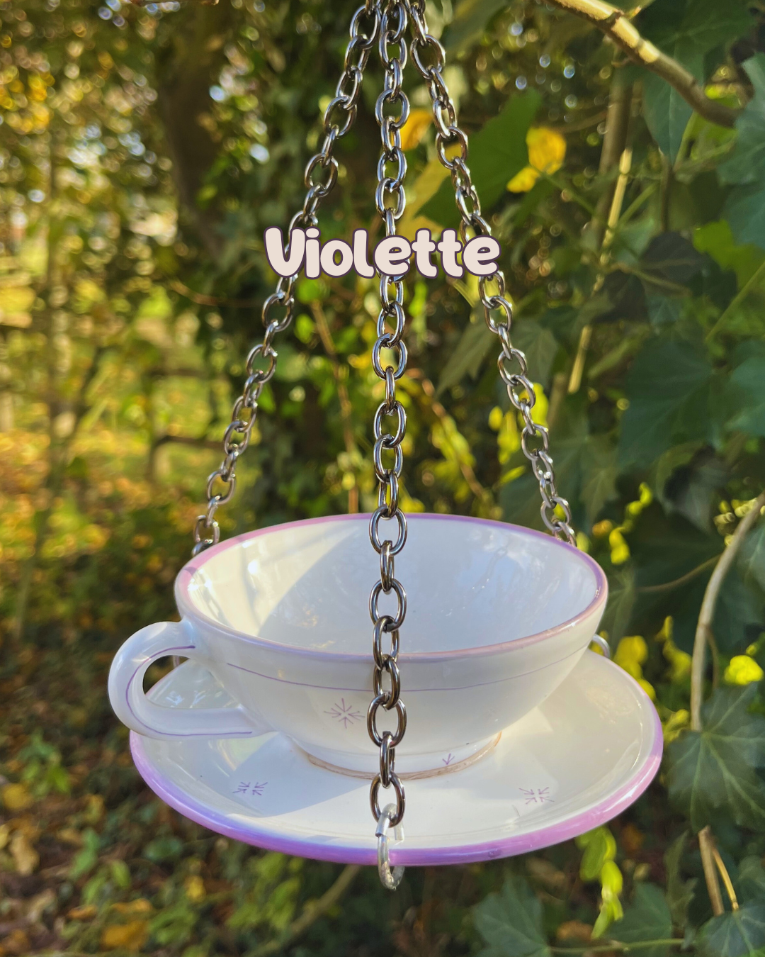 Mangeoire à oiseaux