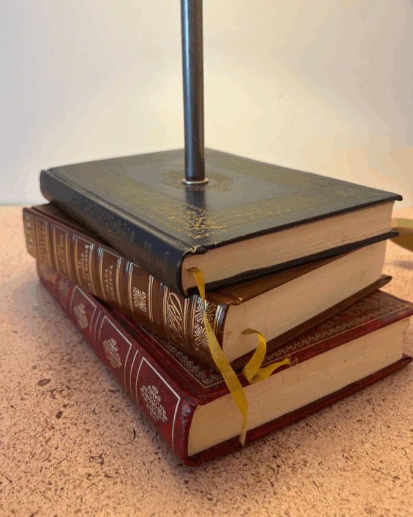 Le Grand Électron Livre – Image 3