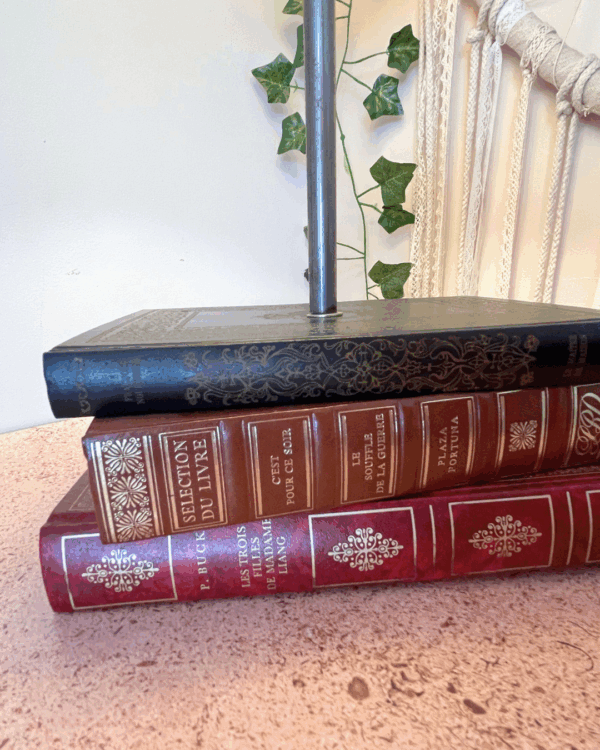 Le Grand Électron Livre – Image 4