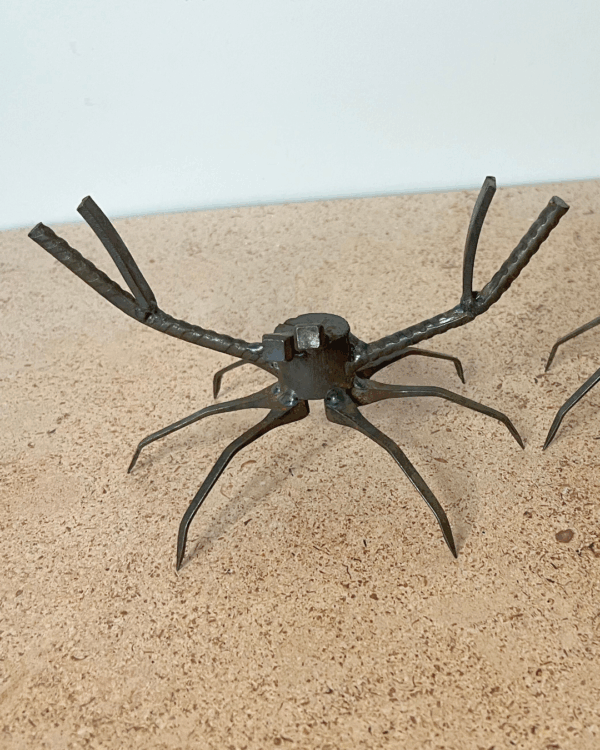Les potits Crabes – Image 2