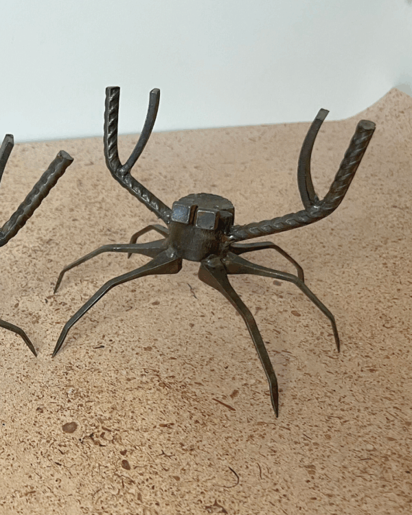 Les potits Crabes – Image 3