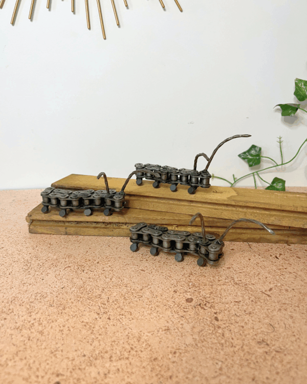 Les potites Chenilles