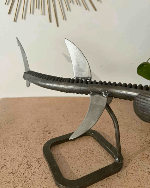 Chips le potit requin marteau – Image 6