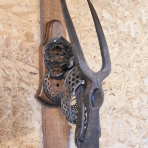 Le Trophée de Gazelle